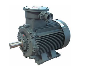 YBX3 взрывозащищённый (YBX3)