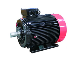 YE5 асинхронный трёхфазный (YE5)