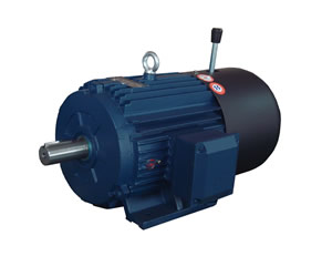 YEJ с электромагнитным тормозом (YEJ)