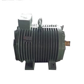 Roller Table Motors YGP (YGP)