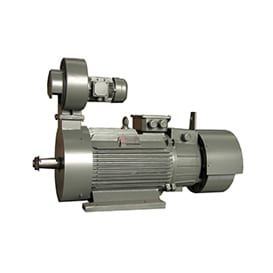YZRDW/YZRSW Tower Crane Hoist Motors with Eddy-Current Brake (YZRDW/YZRSW)